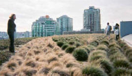 PARTICIPANTS AT THE GREEN ROOF WORKSHOP IN VANCOUVER TOUR THE ROOF GARDEN OF THE VANCOUVER PUBLIC LIBRARY